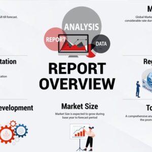 Custom Business Insights Report