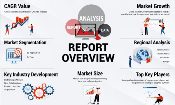 Custom Business Insights Report